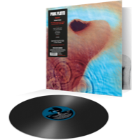 Pink Floyd: Meddle (Vinyl)